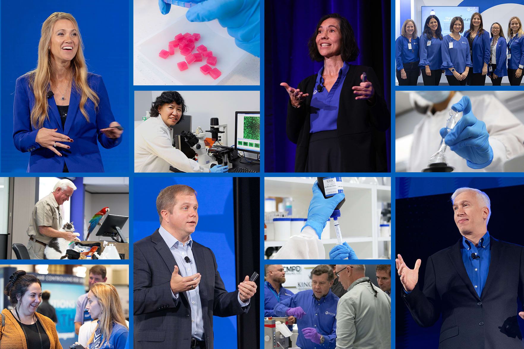 Tom Hiddleston Wanted For The Sandman - sandwichjohnfilms, image size:1764x1177