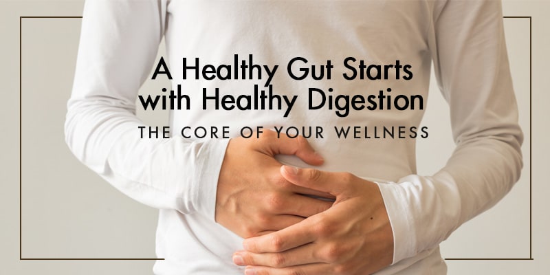 Wellness Works Blog | A Healthy Gut Starts with Healthy Digestion